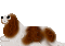 image2506.gif