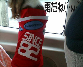 20070218102509.jpg