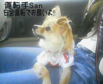 20070218103113.jpg