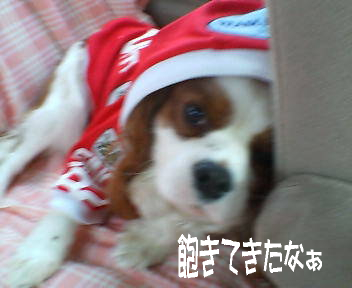 20070218110410.jpg