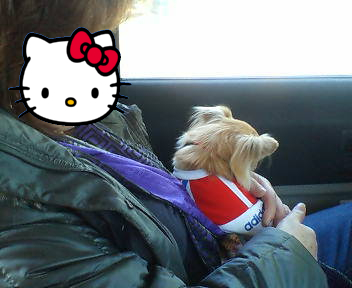 20070219125546.jpg