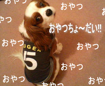 20070330013224.jpg