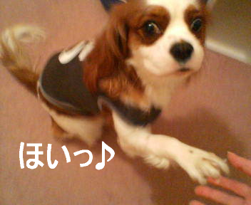 20070330013704.jpg