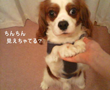 20070330013813.jpg