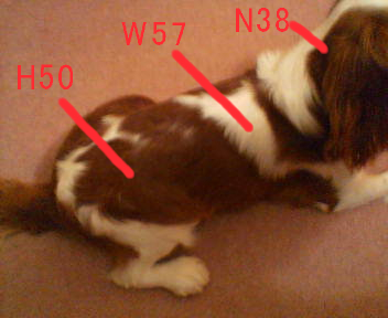 20070403012647.jpg