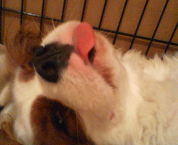 20070420203150.jpg