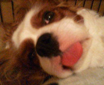 20070420203226.jpg