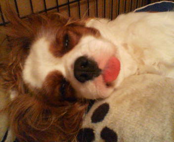 20070420203310.jpg
