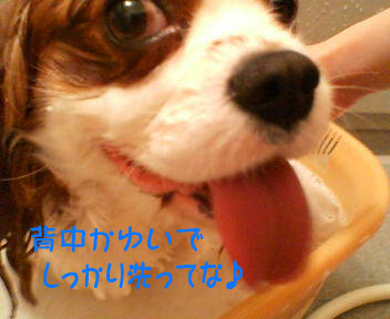 20070428232111.jpg