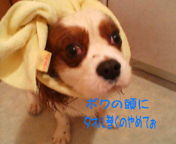 20070428233402.jpg