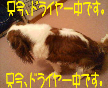 20070428233955.jpg