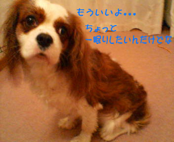 20070428234749.jpg