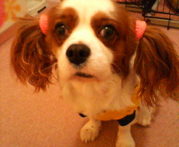 20070429032847.jpg