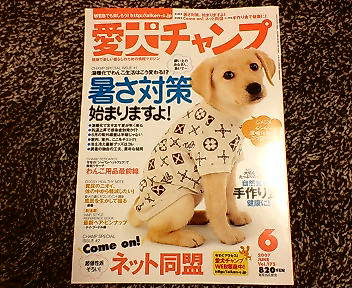 20070429034558.jpg