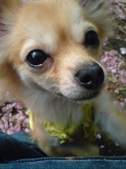 20080425144104.jpg